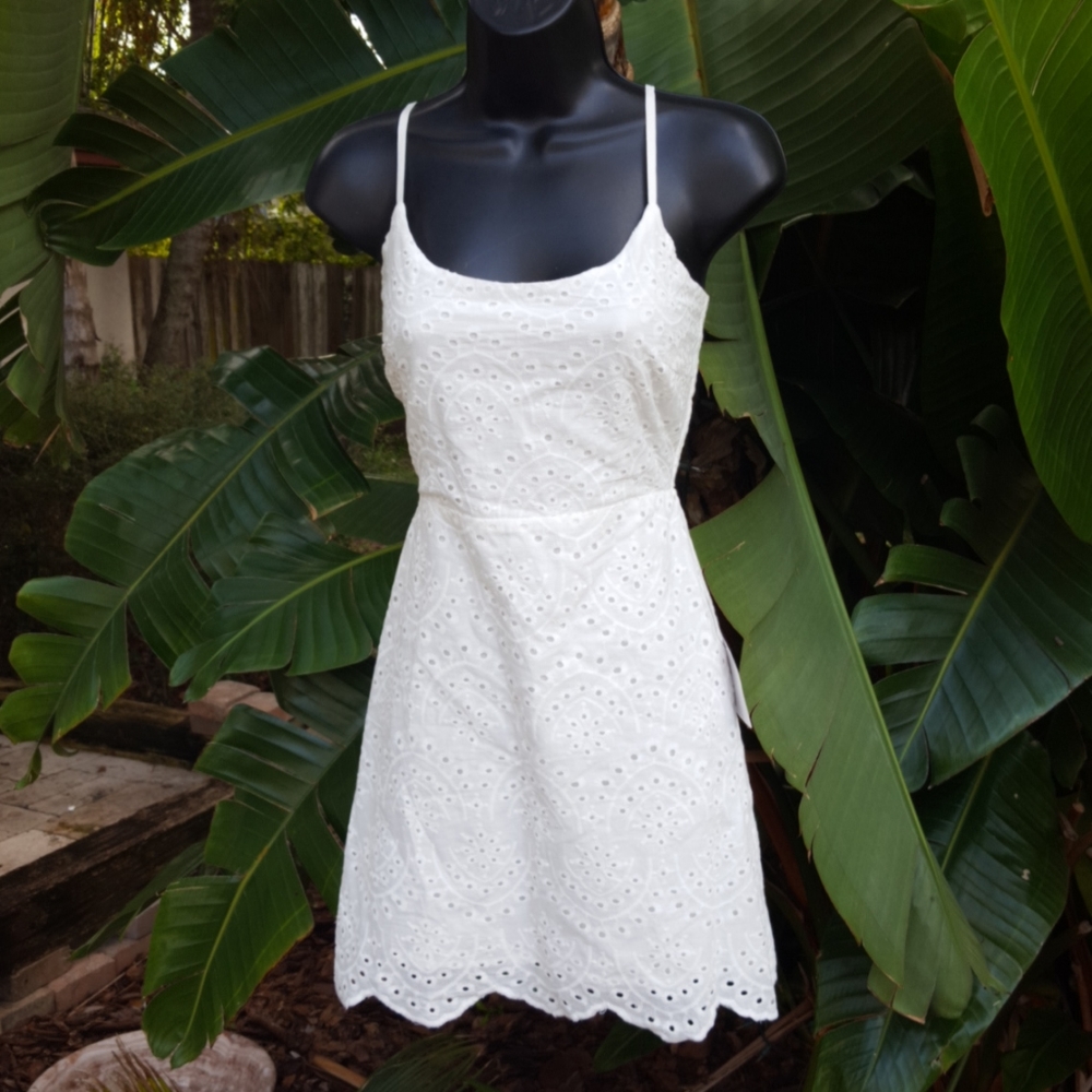 Lulus eyelet lace fit and flare dress